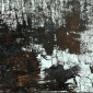 White Noise
