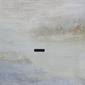 Peng Liu