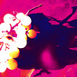 Furious Fuscia