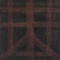Copper Signs I