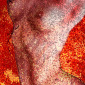 The bared nature-038