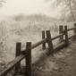Meadow, Henry Cowell