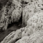 Glacial Seas, Untitled #1