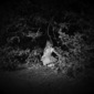 hiding not seeking
