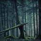 Fallen Giant