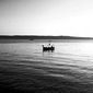 Fisherman