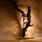 Balletic Goniometer 1