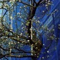 BLUE . TREE