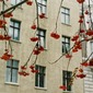 Red Berries