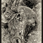 Death.Untitled#1