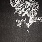 Seaweed Woodcut 2