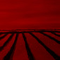 Saturday Fields