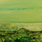 Landscape (5)