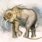 Elephantine