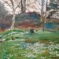Snowdrops