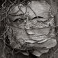 A Tangled Web  #2/25