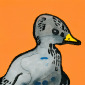 ente / duck