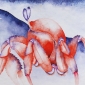 Kipungani crab