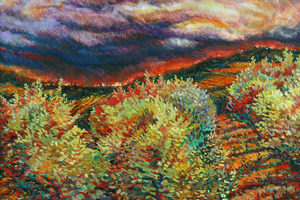 Alexandr Mukhomedeev-Boyarov