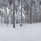 Finland