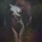 second series.Decomposing to complete emptiness. num.15