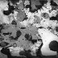 The history of water_01