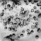 The history of water_06