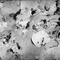 The history of water_09