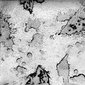 The history of water