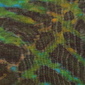 Camouflaged Skelton