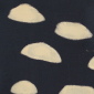 Cats Eyes II
