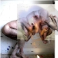 Tortured
