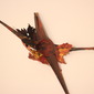 Swallow