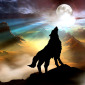 Wolf Howling at the Full Moon
