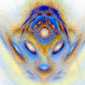 Djinn