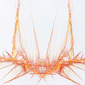 Crown of Thorns