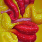 Candy Shop II