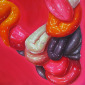 Candy Shop III