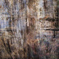 abstract abstract abstract (intestine twine)
