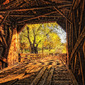 Inside the Bridge 2