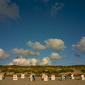 German Sea