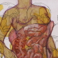 A Girl of Intestines