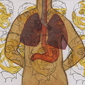 A Man's Lungs