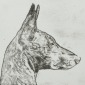 Anthropomorphism, I.