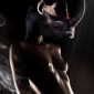 FemRhino
