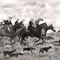 Hunting