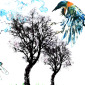 Bird and dragonfly