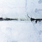 Trace of Wind
