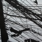 Connection II