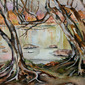 Eno River Reflection